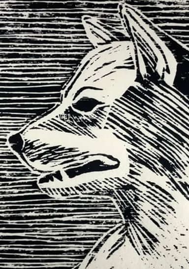 A DOG