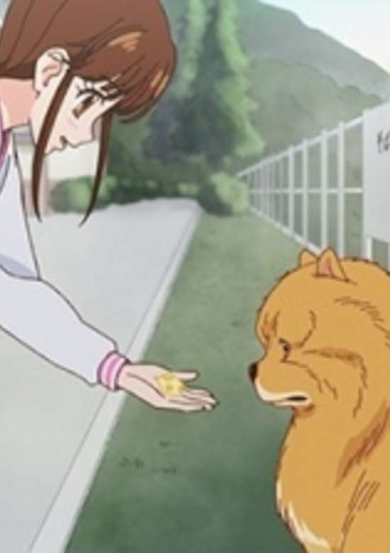 Aru Hi Inu no Kuni kara Tegami ga Kite