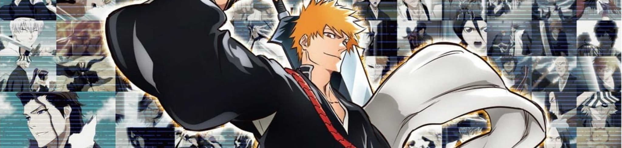 Bleach banner