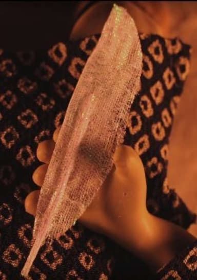 Feather robe from heaven