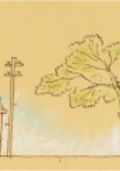 Hakimono to Kasa no Monogatari