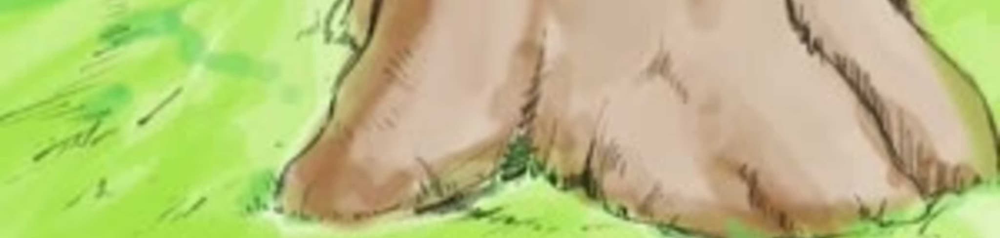 Color Spring banner