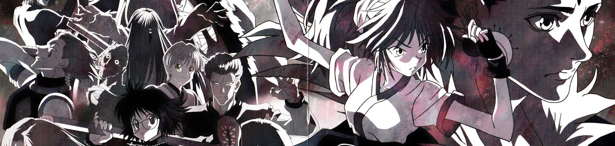 Hunter x Hunter OVA banner