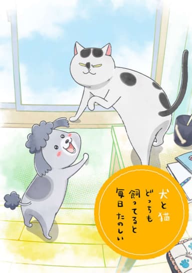 With a Dog and a Cat, Every Day is Fun