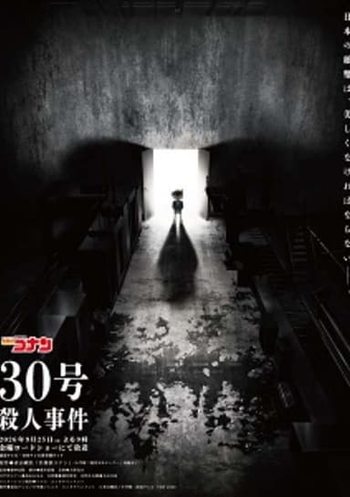 Detective Conan: The Counterfeit Case of Ultra 30