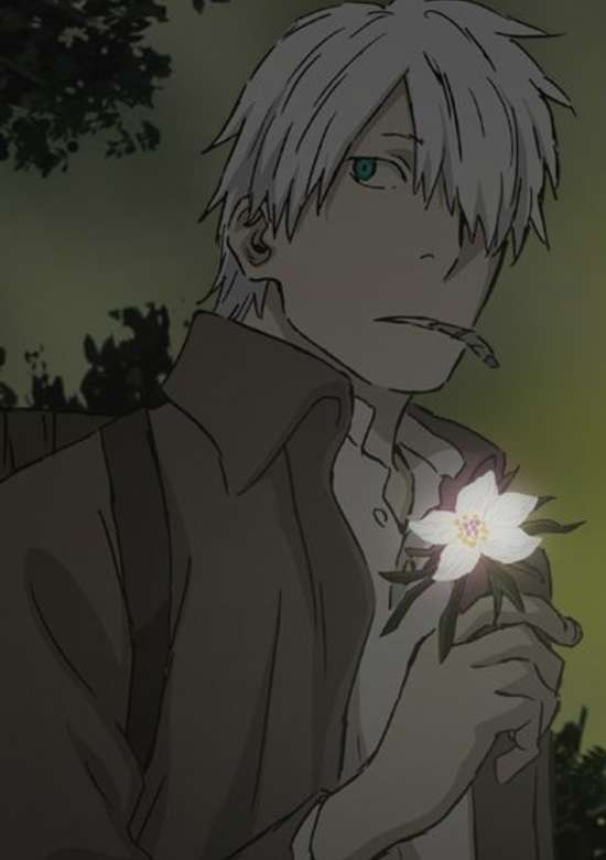 Mushishi Special: Hihamukage banner