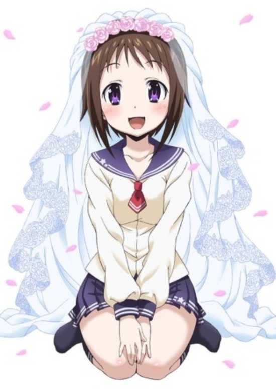 Okusama ga Seitokaichou!: Okusama Gekijou banner