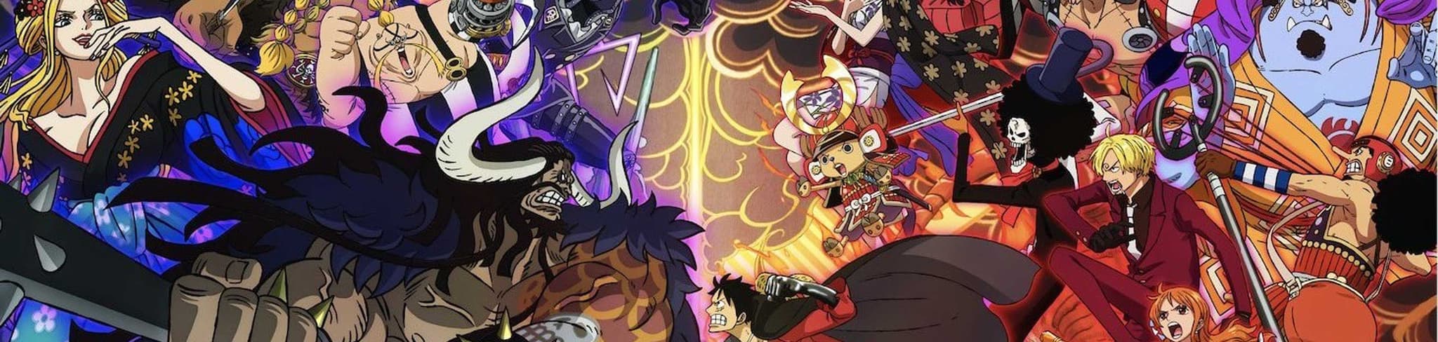 One Piece banner