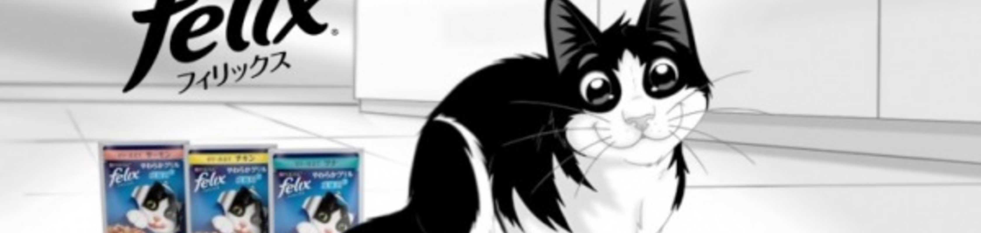 Purina Felix banner