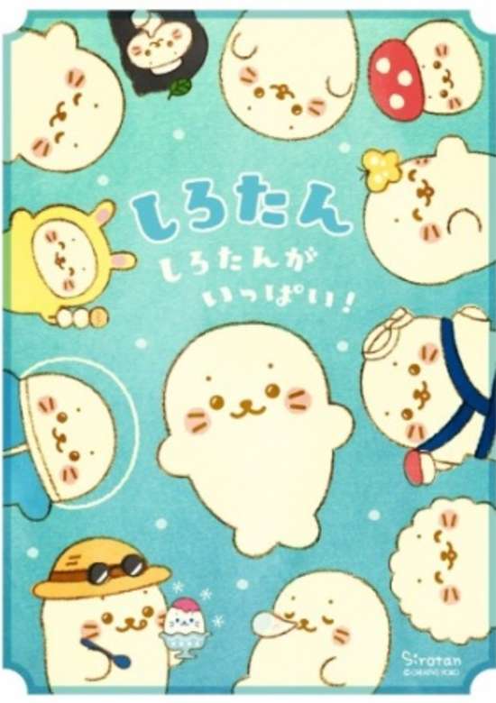 Shirotan: Shirotan ga Ippai! banner