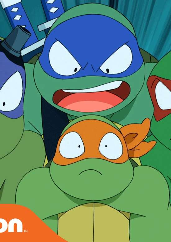 Turtles Take Time (and Space) banner