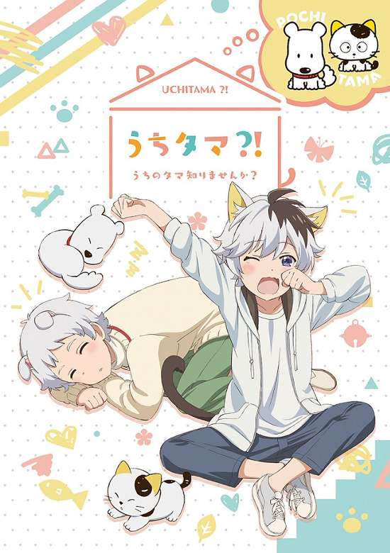 Uchi Tama?! Uchi no Tama Shirimasenka? banner