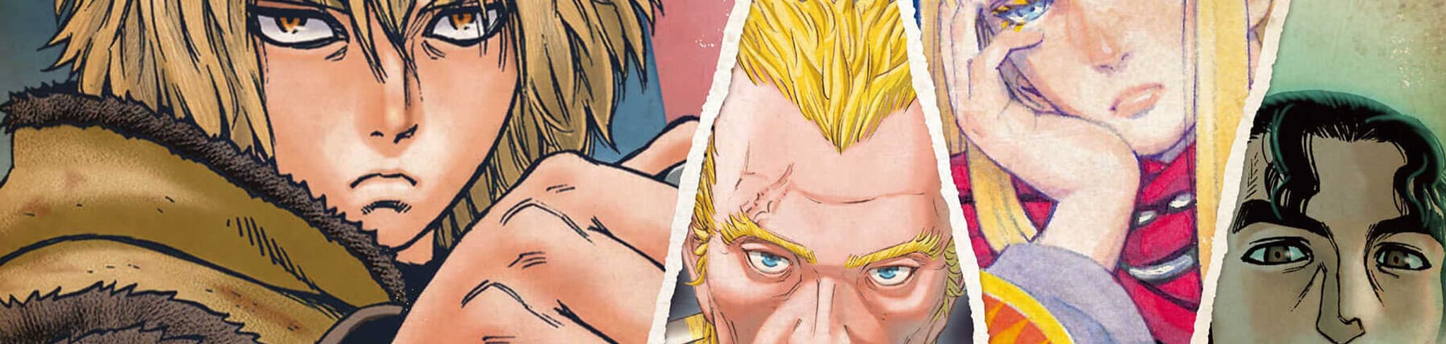 Vinland Saga banner