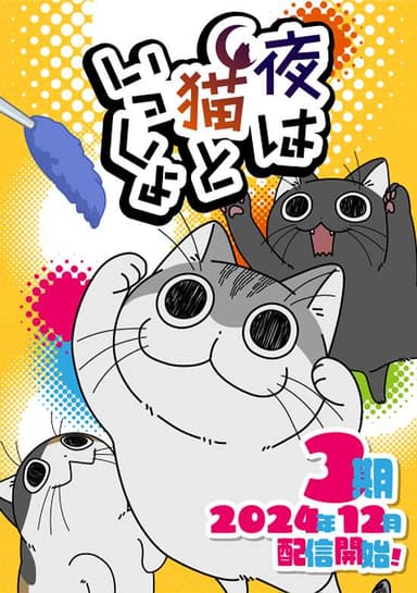 Nights with a Cat Season 3